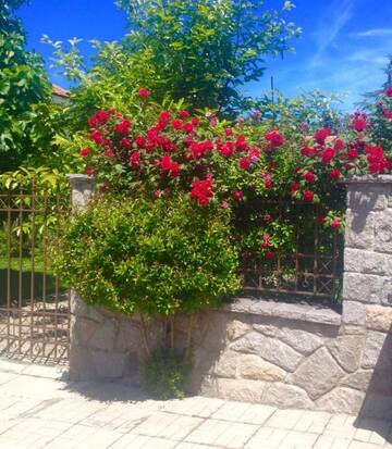 Фотографии Гостевой дом Summer Houses Gardenby the Sea Chernomorets г. Черноморец (Болгария) №3 Фото Гостевой дом Summer Houses Gardenby the Sea Chernomorets г. Черноморец 3